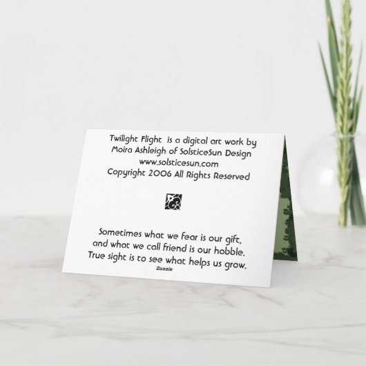 Flug Karte (Rückseite)