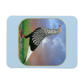 Flug und Wolken Magnet (Horizontal)