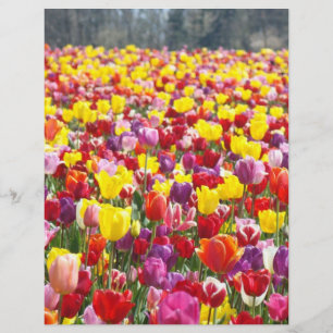 Flugblätter Papier Frühlings Thema Tulpen Blumen