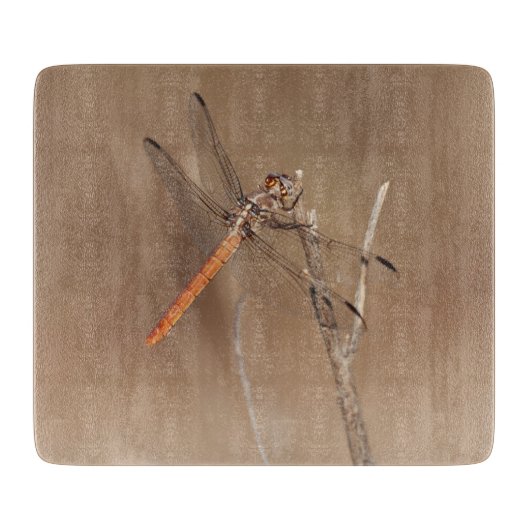 Flüge der Golddrachenfliege Schneidebrett (Vorderseite)