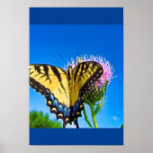 Flüge der Liebe Poster (Vorne)