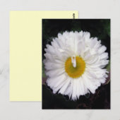 Flüge des Sommers Postkarte (Vorne/Hinten)
