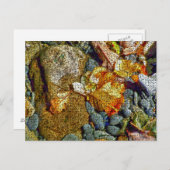 FLÜGE POSTKARTE (Vorne/Hinten)