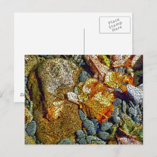 FLÜGE POSTKARTE (Vorne/Hinten)