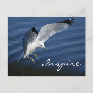 Flüge über Pennsylvania Postkarte