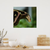 Flüge von Atlas Print Poster (Küche)