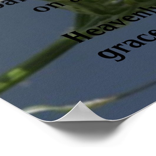 "Flügel" Butterfly Poster (Ecke)