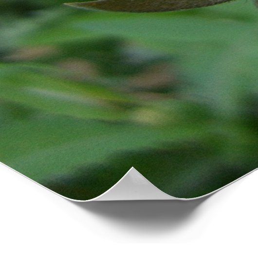 Flügel der Gnade (4) Poster (Ecke)