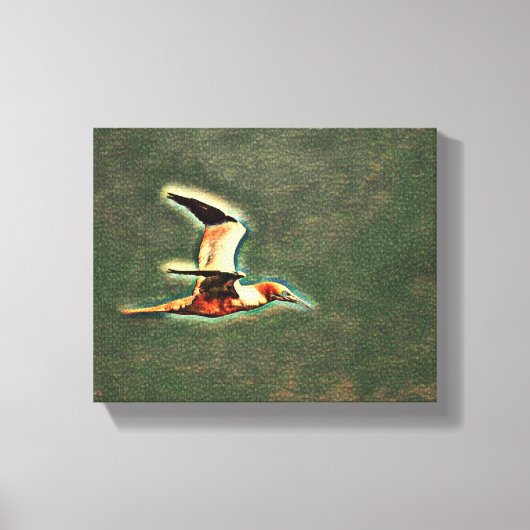 "Flügel der Harmonie: Vögel im offenen Himmel" Leinwanddruck (Vorderseite)