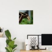 Flügel des Atlasdrucks Poster (Heimbüro)