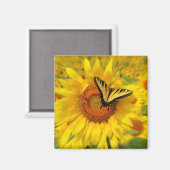 Flügel des Sommers, Magnete Magnet (Vorderseite/Rückseite)