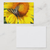 Flügel des Sommers, Visitenkarte (Vorne/Hinten)