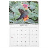 Flügel des Verwunderungs-Schmetterlinges Kalender (Mär 2027)