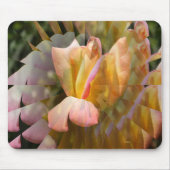 Flügel einer Rose des Friedens...... Mousepad (Vorne)