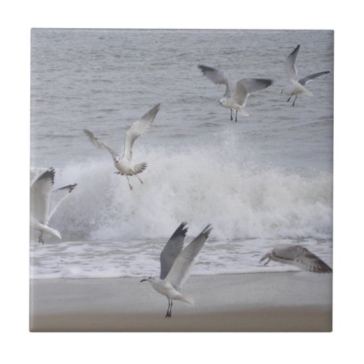 Flügel Fliese (Vorderseite)