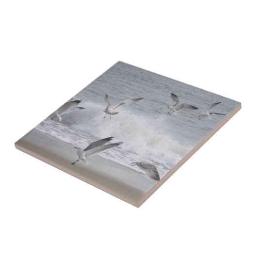 Flügel Fliese (Seite)