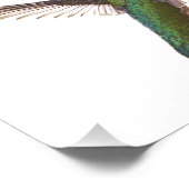 Flügel Fotodruck (Ecke)