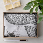 Flügel-Kram-Zeitschriften-Elemente Decoupage Blatt Seidenpapier (Geschenk)