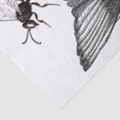 Flügel-Kram-Zeitschriften-Elemente Decoupage Blatt Seidenpapier (Detail)