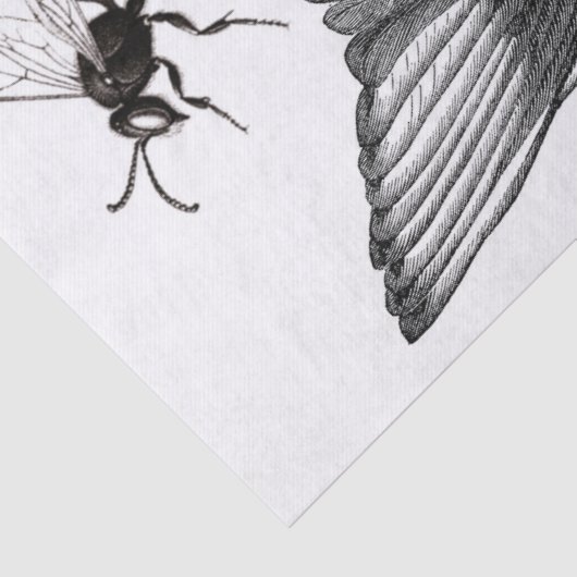 Flügel-Kram-Zeitschriften-Elemente Decoupage Blatt Seidenpapier (Detail)