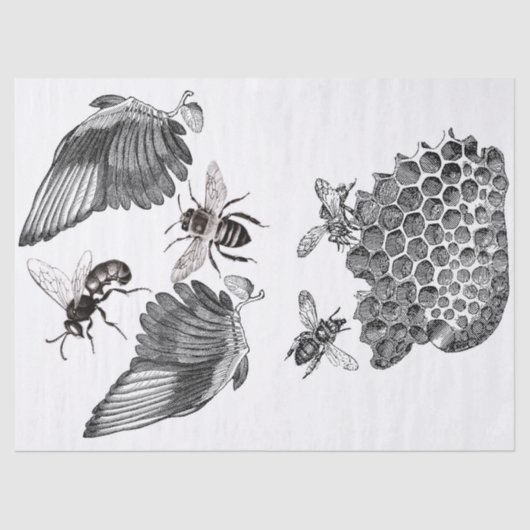 Flügel-Kram-Zeitschriften-Elemente Decoupage Blatt Seidenpapier (Vorderseite)