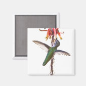 Flügel Magnet (Vorderseite/Rückseite)