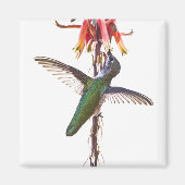 Flügel Magnet (Vorne)