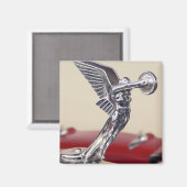 Flügel Magnet (Vorderseite/Rückseite)