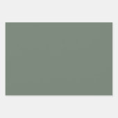 Flügel mit hellgrünem Feststoff Geschenkpapier Set (Vorderseite 2)