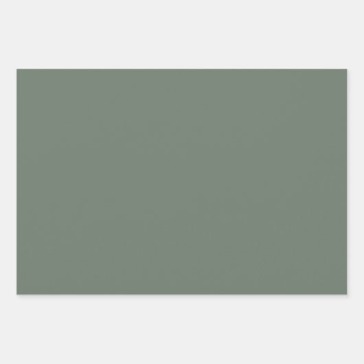 Flügel mit hellgrünem Feststoff Geschenkpapier Set (Vorderseite 2)