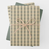 Flügel mit hellgrünem Feststoff Geschenkpapier Set (Beispiel)