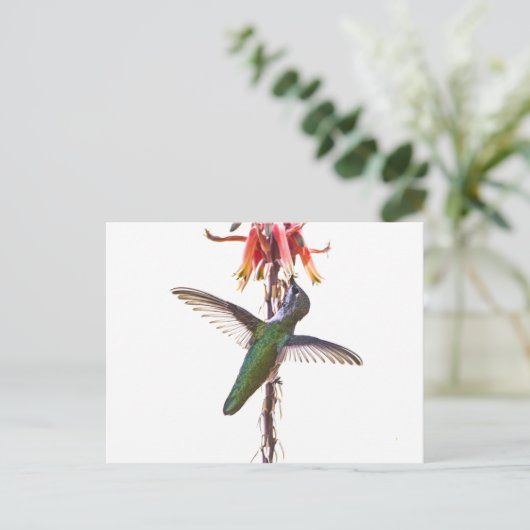 Flügel Postkarte (Stehend Vorderseite)