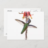 Flügel Postkarte (Vorne/Hinten)