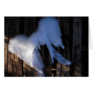 Flügel u. Spitze - leere Karte