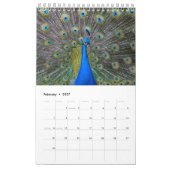 Flügel und Feathers Kalender (Feb 2027)