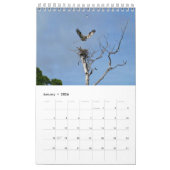 Flügel und Feathers Kalender (Jan 2026)