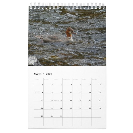 Flügel und Feathers Kalender (Mär 2026)
