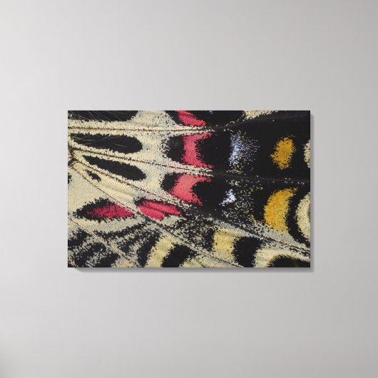 Flügel unter nahem Bhutanitis mansfieldi Leinwanddruck (Vorderseite)