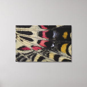 Flügel unter nahem Bhutanitis mansfieldi Leinwanddruck