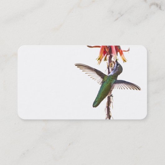 Flügel Visitenkarte (Rückseite)