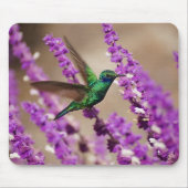 Flügel von Glauben-Funkeln Violett-Ohren Kolibri Mousepad (Vorne)