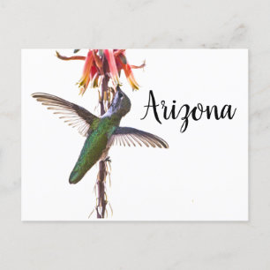 Flügel von Hummingvögeln, Arizona Postkarte