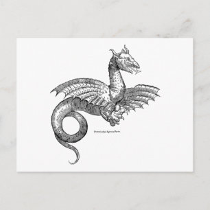 Flügeldrache oder Flügeldrache Postkarte