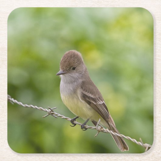 Flügelfänger Rechteckiger Pappuntersetzer (Vorderseite)