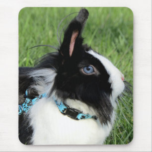 Flügeliges Schwarz-Weiß-Lionhead-Kaninchen Mousepad