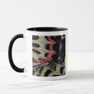 Flügelunterseitennahaufnahme Bhutanitis mansfield Tasse
