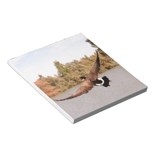 Flugente über Wasserfoto Notizblock (angewinkelt)