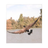 Flugente über Wasserfoto Notizblock (Vorderseite)