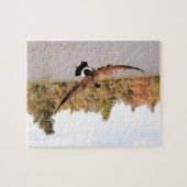 Flugente über Wasserfoto Puzzle (Horizontal)