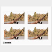 Flugente über Wasserfoto Rechteckiger Aufkleber (Blatt)